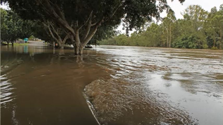 King Edward Parade, 91妻友 during 2011 flood